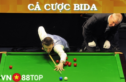 ca-cuoc-bida